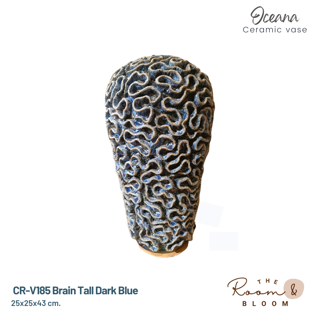 CR-V185 Brain Tall Dark Blue